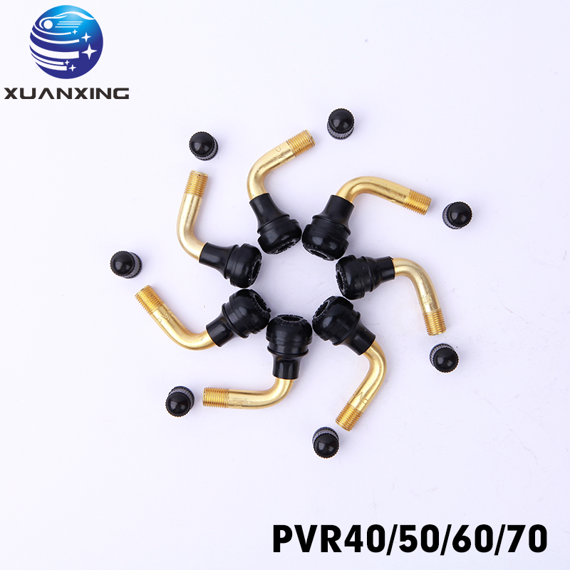 100PCS PVR70 PVR40 PVR50 PVR60 - مراجعة Tubeless Valve Core وسعره